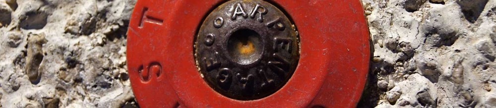 bornage-terrain-rawdon